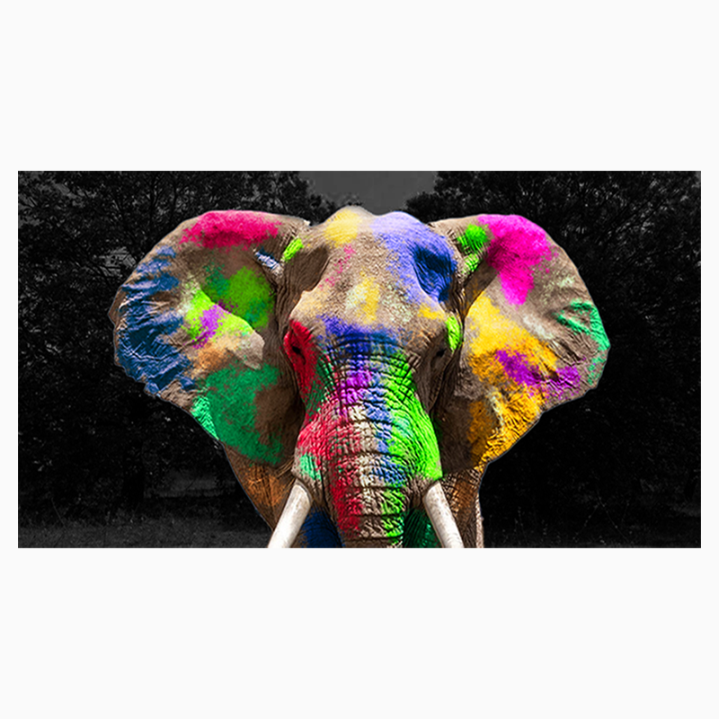  Tapisserie, tenture, Draperie. Décoration intérieure murale mur, rideau, tendance et fashion.Un éléphant africain, décoration afrique multiples couleurs, moderne. Beauté africaine animal